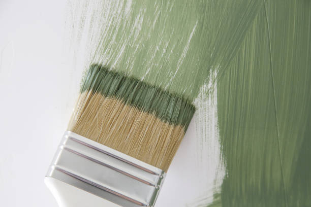  Braselton, GA Mold Removal Pros