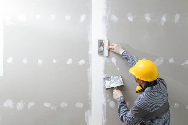 Best Air Quality Testing for Mold Spores  in Braselton, GA