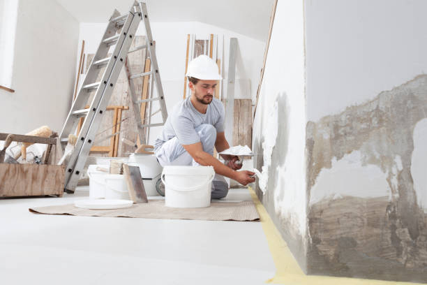 Best Asbestos and Lead Testing During Mold Inspection  in Braselton, GA