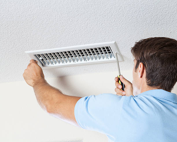 Best Water Damage & Mold Remediation  in Braselton, GA