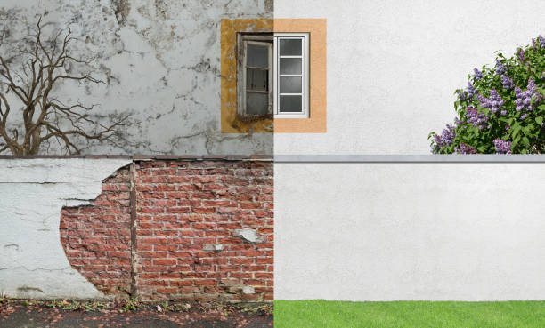 Best Basement Mold Removal  in Braselton, GA