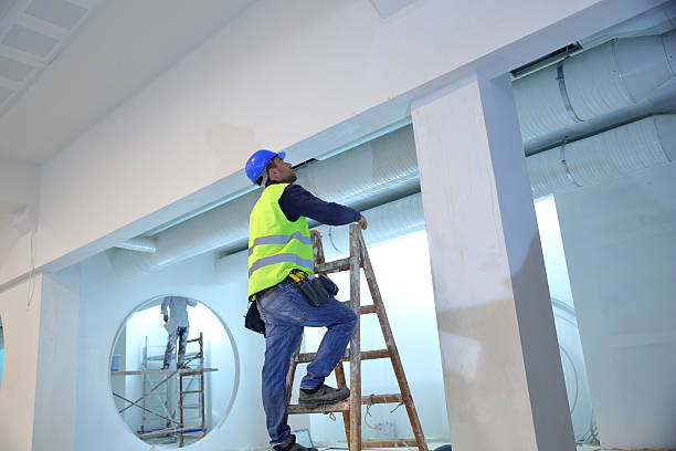 Best Comprehensive Air Testing for Mold Contaminants  in Braselton, GA
