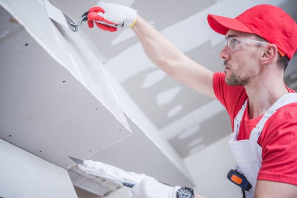 Best Mold Documentation for Insurance Claims  in Braselton, GA